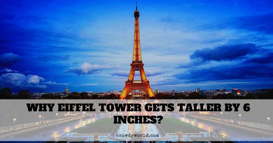 Eiffel Tower in Summer