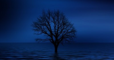 Frasi Tristi Brevi Sulla Vita Pensieri Corti Che Fanno Riflettere Linkuaggio