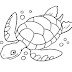Desenhos de Tartaruga para Colorir