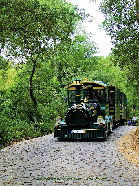 Quando os caminhos, e as suas histórias no tempo, no espaço, e as emoções, parecem convergir... na viagem de uma vida... / When the paths, and their stories in time, space, and emotions, seem to converge... on the journey of a lifetime...