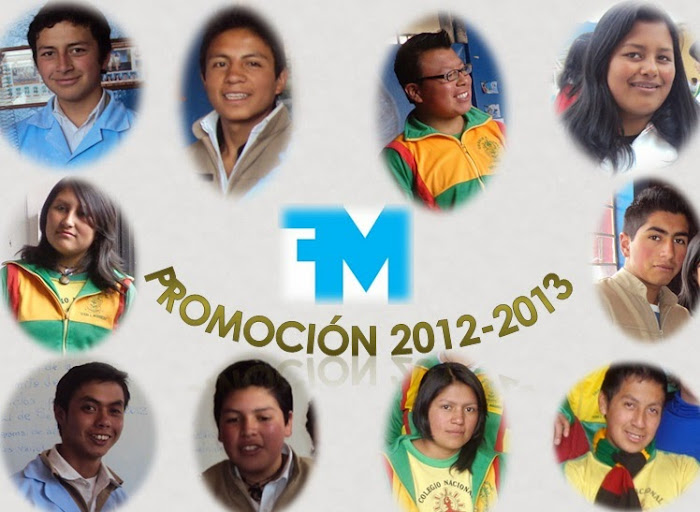 Cuarta promoción FFMM 2012-2013