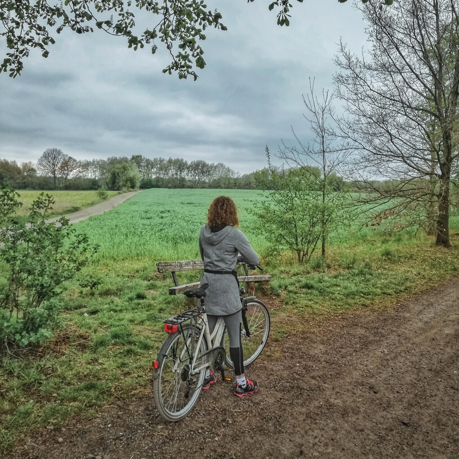 Jakim rowerem do lasu? Zielona wśród ludzi Inspiruje do życia