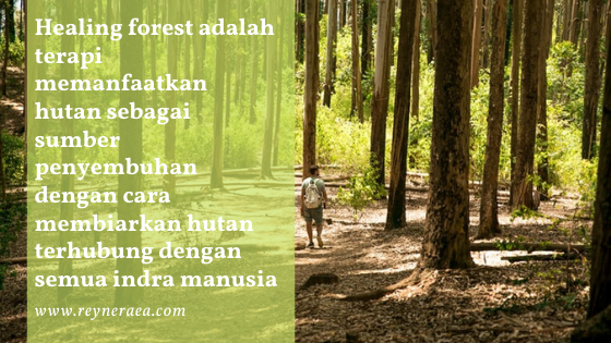 healing forest di hutan papua