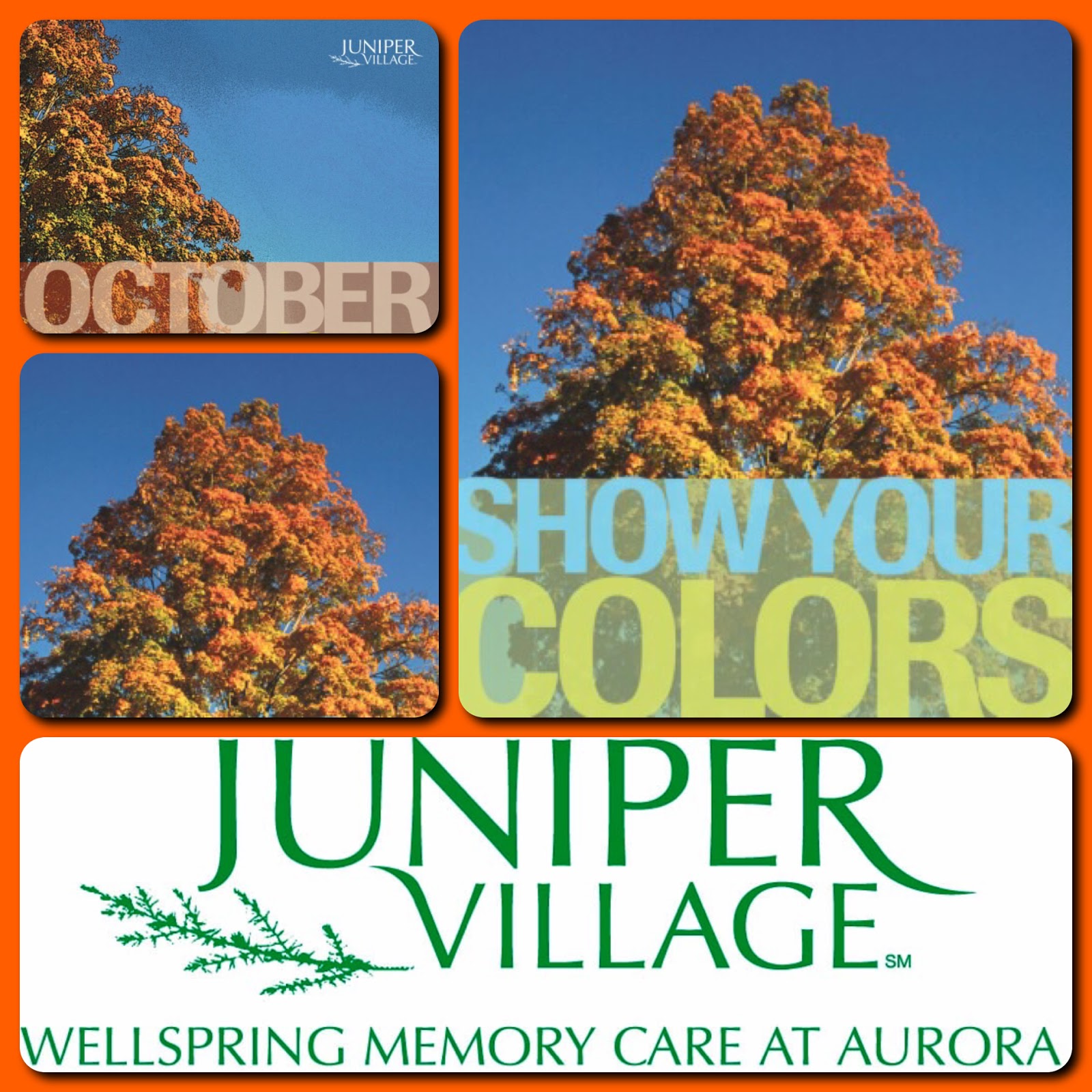 Juniper Village at Aurora October 2015 Events in Aurora, CO Show Your
