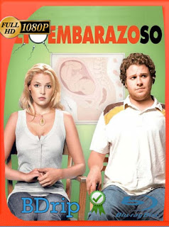 Lío embarazoso (2007) UNRATED BDRIP 1080p Latino [GoogleDrive] SXGO