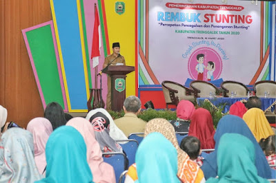 Bupati Nur Arifin Harapkan Penanganan Stunting di Kabupaten Trenggalek Semakin Terintegrasi