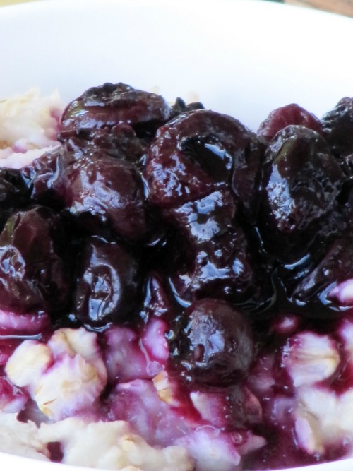 Pine Cones and Acorns Blueberry Compote Oatmeal