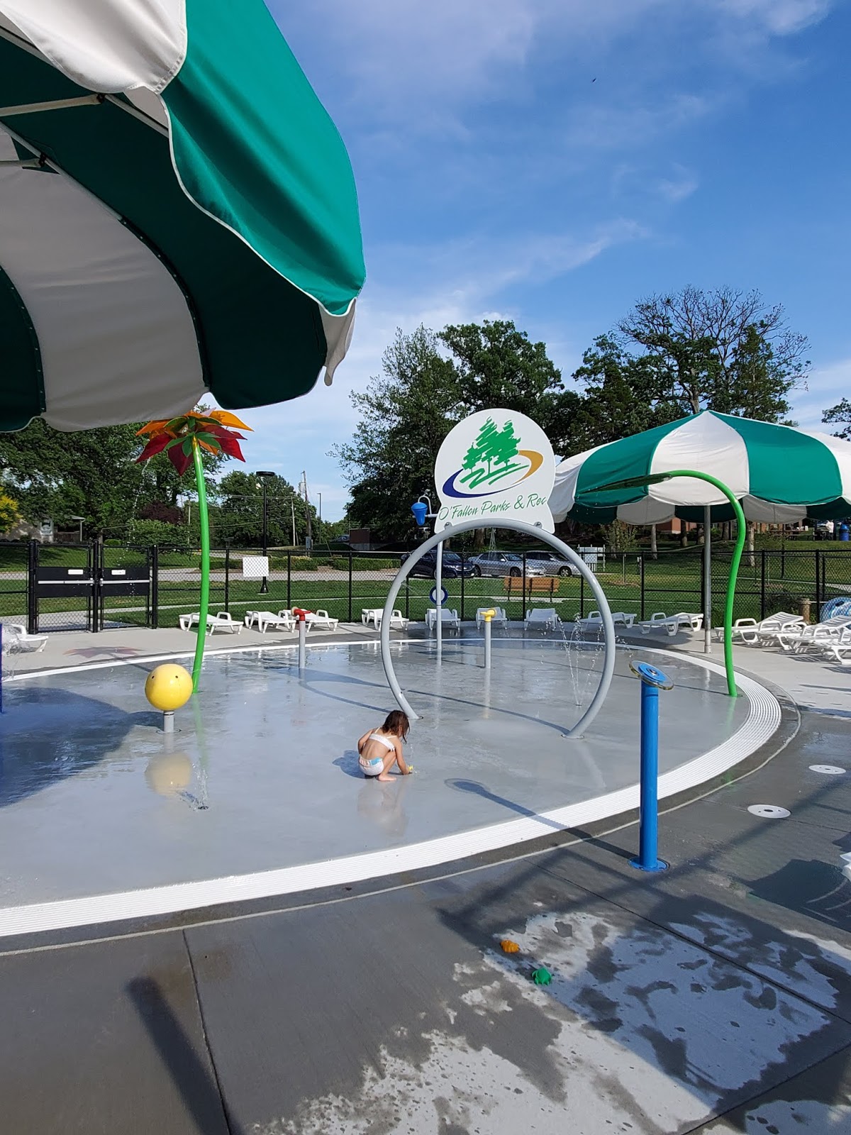 Play St. Louis Alligator's Creek Aquatic Center, O'Fallon MO