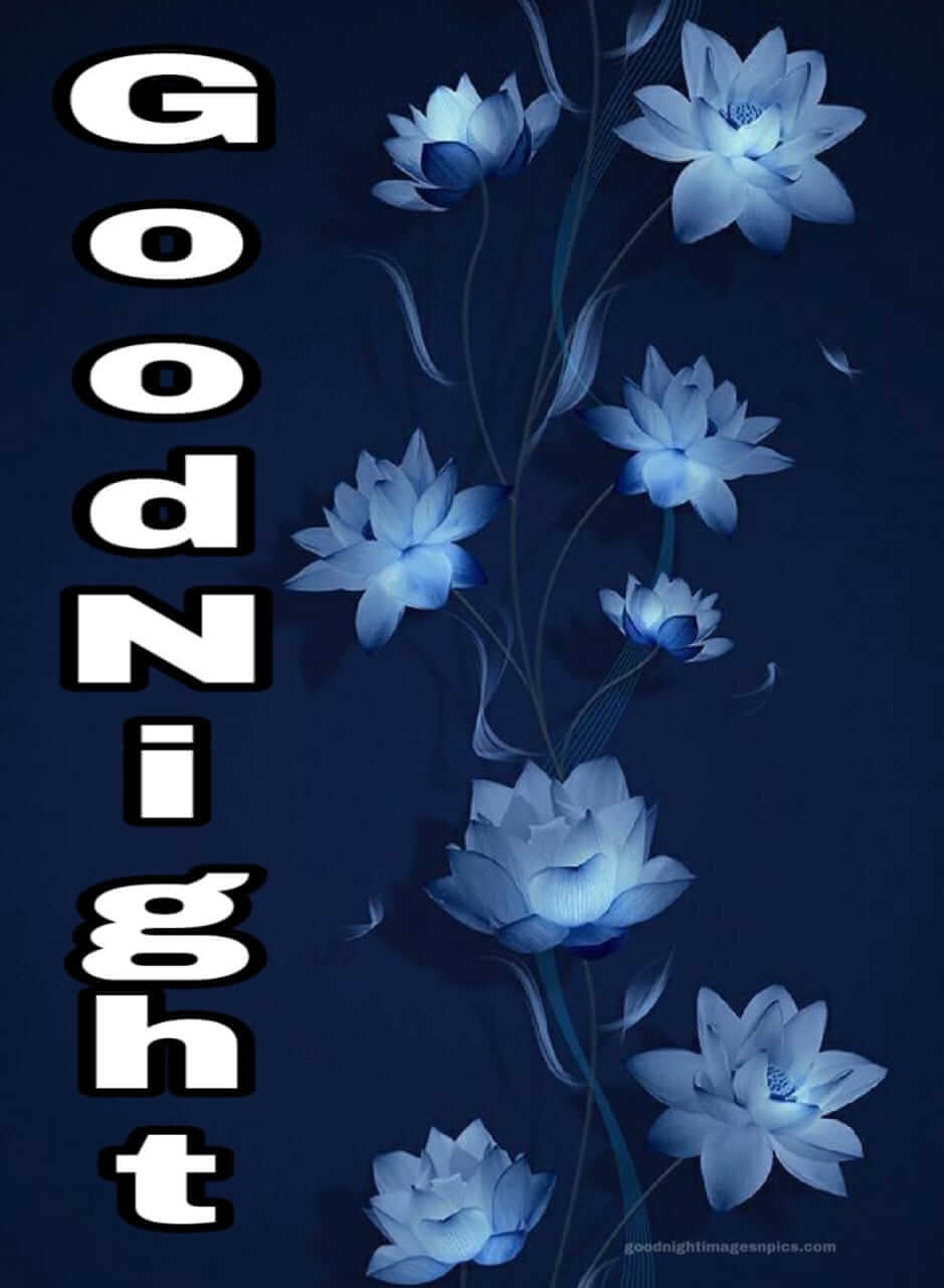 images on good night images on good night