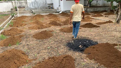 Jual Tanah Untuk Tanaman Di Surabaya