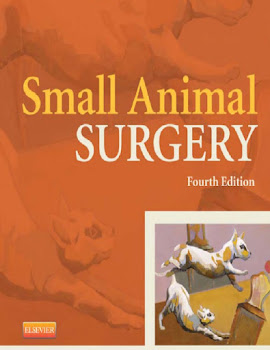 Small Animal Surgery 4th Edition