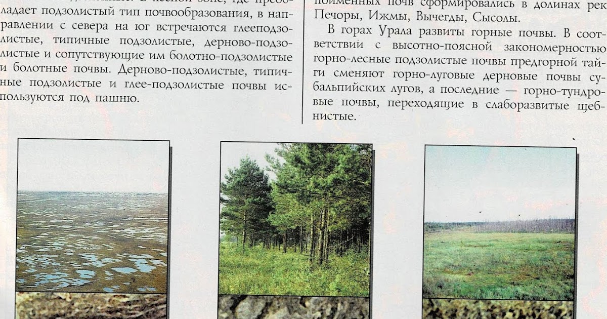 Мерзлотно таежные почвы какая природная зона. Мерзлотно таежные почвы какая природная зона