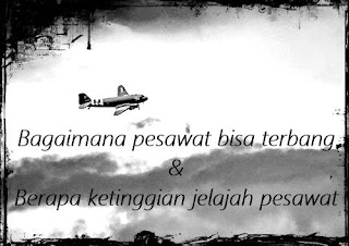 Artikel: Bagaimana Pesawat Bisa Terbang Dan Berapa Ketinggian Jelajah