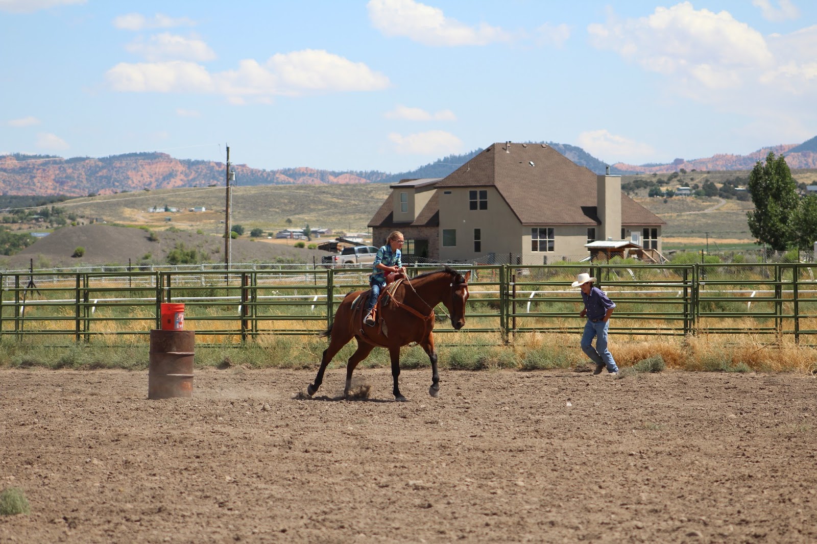Finchtastic Horse Fun Day Garfield County Fair