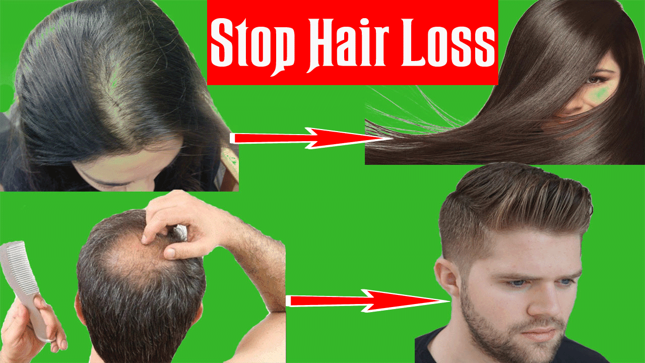 Daily Halthy Life How To Stop Hair Fall And Grow New Hair