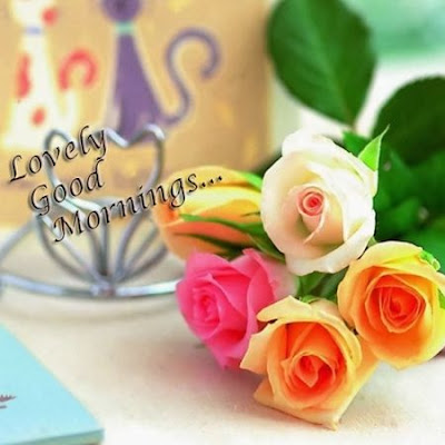 Lovely Good Morning Wallpaper Image with Rose
