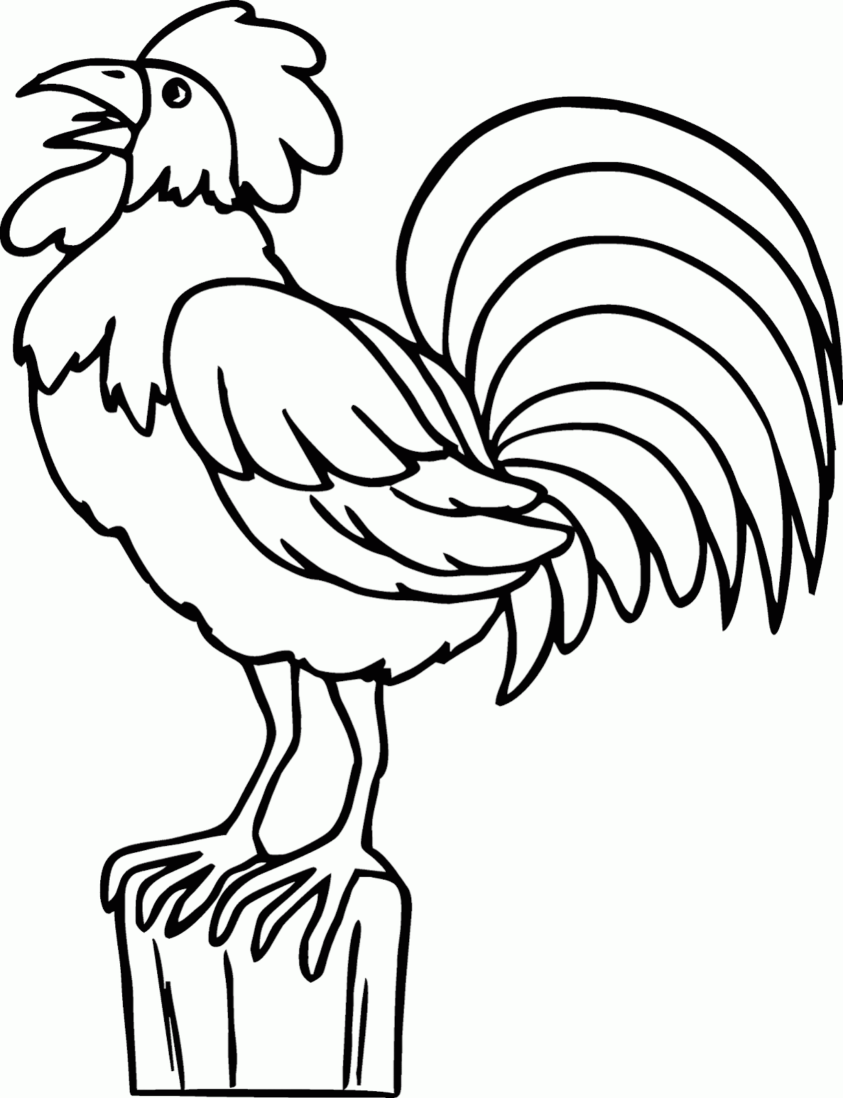 Mewarnai "Gambar Ayam Jantan Berkokok" - Contoh Anak PAUD