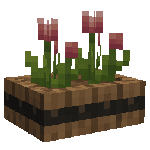 pink_tulip_0_wall