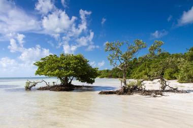 Anne’s Beach