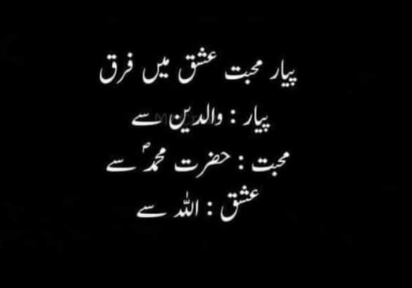 best funny quotes in urdu