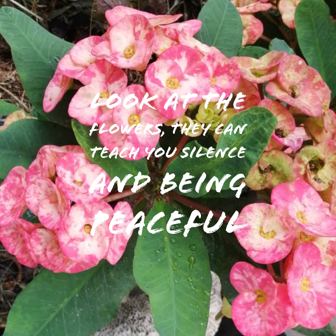 Learning from flowers