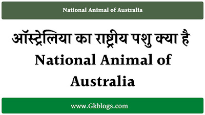 australia ka rashtriya pashu, australia ka rashtriya pashu kaun hai, australia ka rashtriya pashu kya hai, national animal of australia