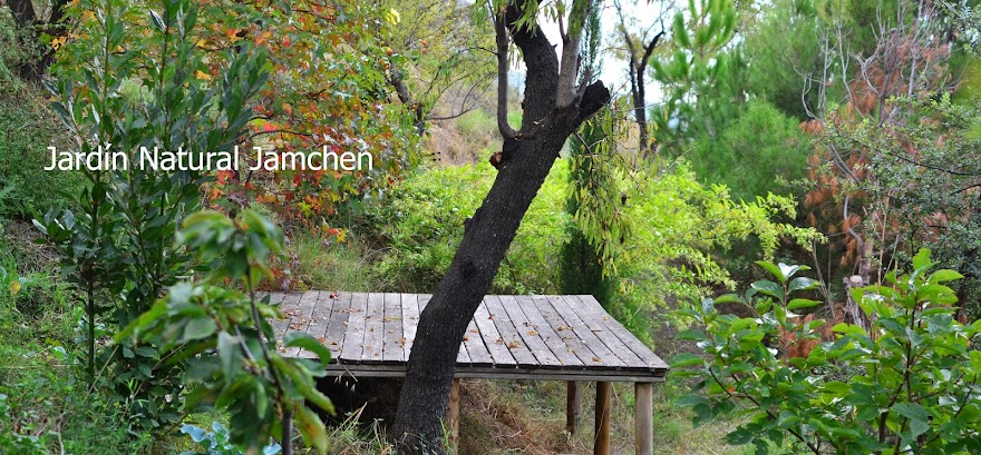 Jardín Natural Botánico Jamchen