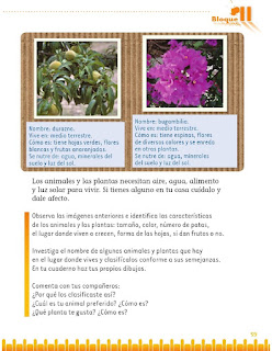 Apoyo Primaria Exploración de la Naturaleza y la Sociedad 1er grado Bloque 2 lección 3 Semejanzas y diferencias entre plantas y animales