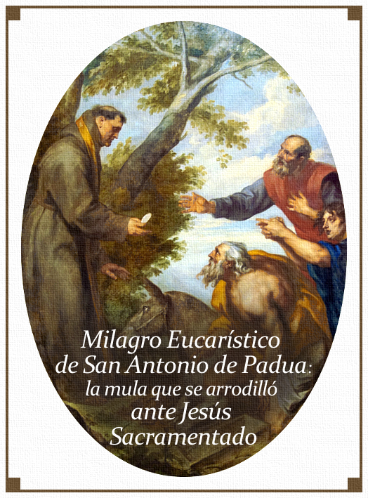 Como ovejas sin Pastor MILAGRO EUCARÍSTICO