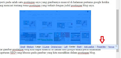 Cara Pengaturan Gambar Postingan Blog Agar Muncul di Pencarian Google