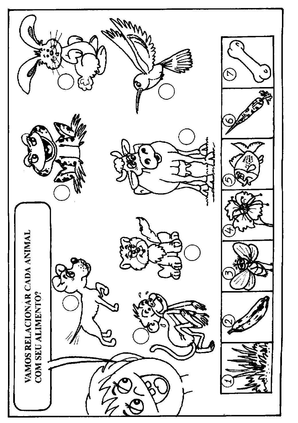 Dibujos Para Colorear Animales Mamiferos - Para Colorear