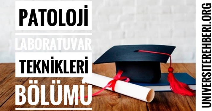 Laboratuvar Teknikeri Kpss 2018 4 Atama Taban Puanlari