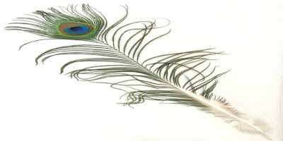 peacock amazing facts in hindi peacock amazing facts in hindi