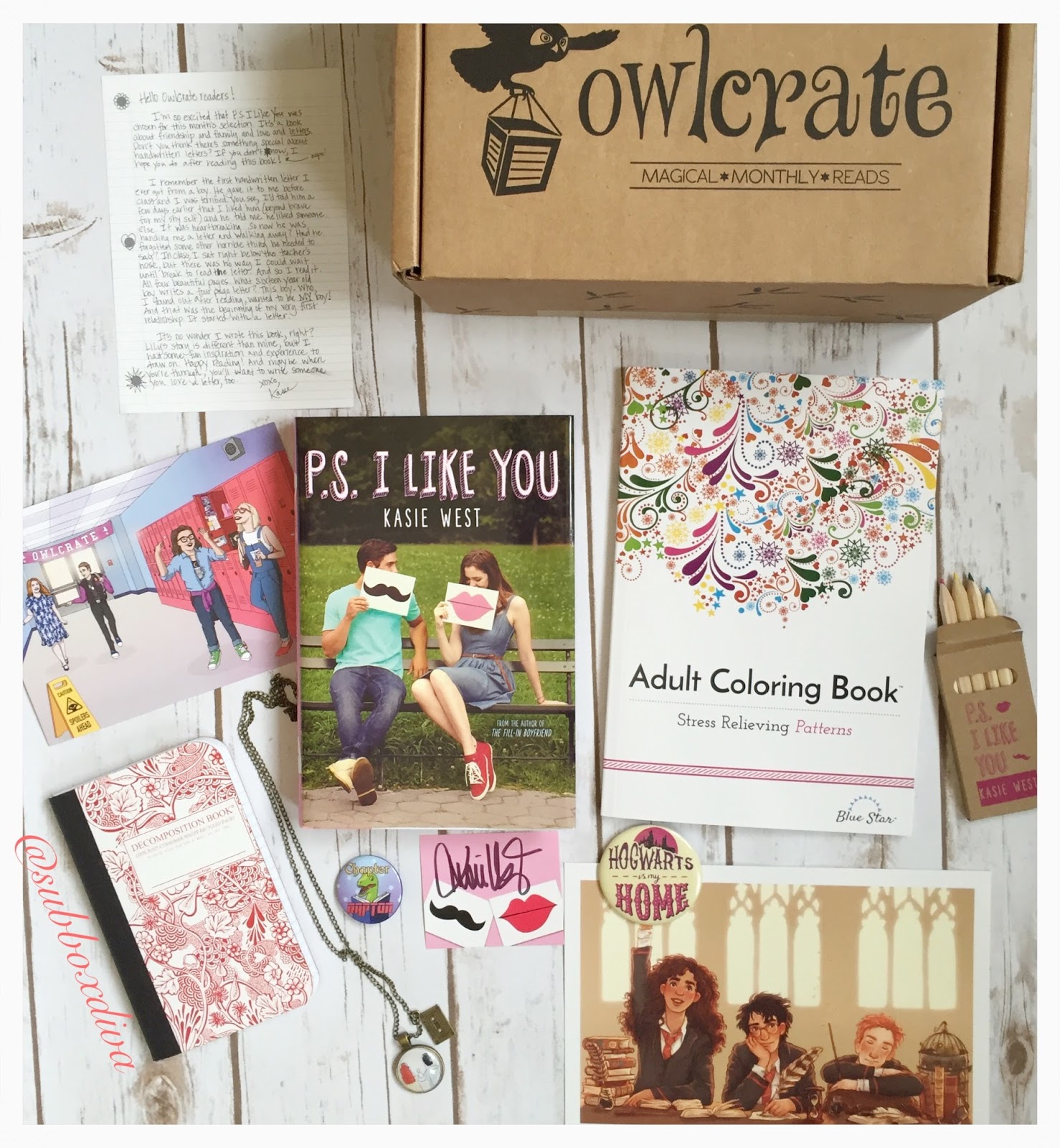 Sub Box Diva Owlcrate, August 2016 Review