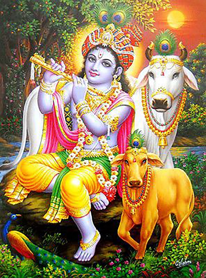 951+ Krishna Images In Hd | Krishna Image Download Hd