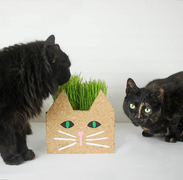 Cat Planter DIY Gina Michele