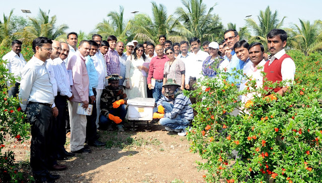 CropLife India &ADT’s KVK,Baramati celebrate “Madhu Sandesh day” to promote pollination amongst farmers & beekeepers CropLife India &ADT’s KVK,Baramati celebrate “Madhu Sandesh day” to promote pollination amongst farmers & beekeepers