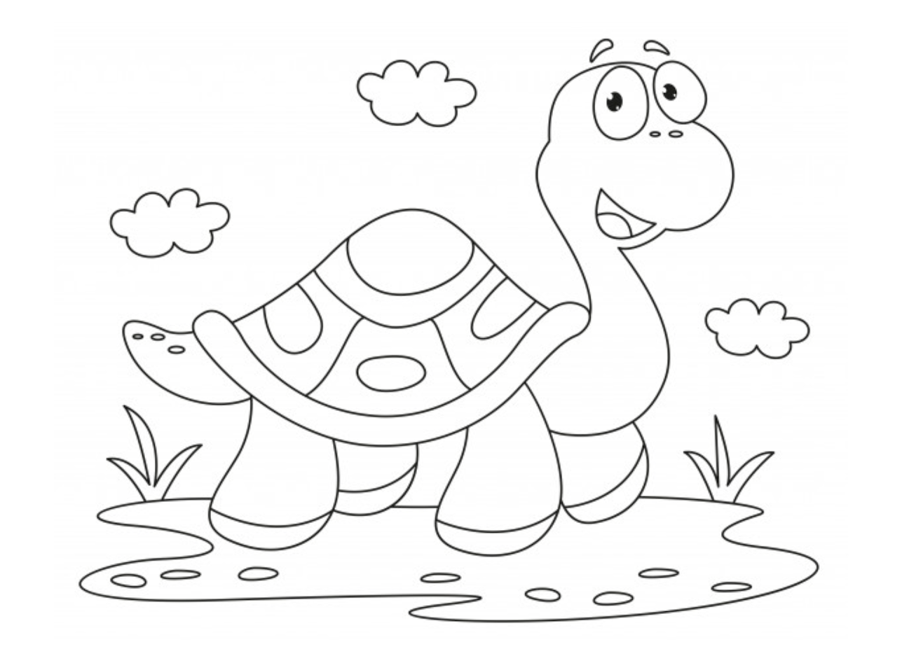 DESENHOS LINDOS DE ANIMAIS PARA COLORIR, PINTAR, IMPRIMIR ESPAÇO