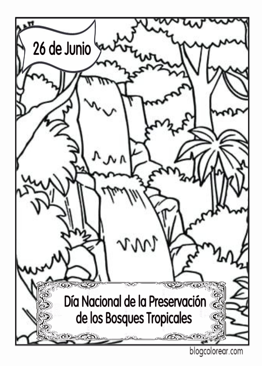 colorear del Día Internacional de la Preservación de los Bosques