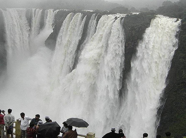 Overflowing Jog Falls - Karnataka