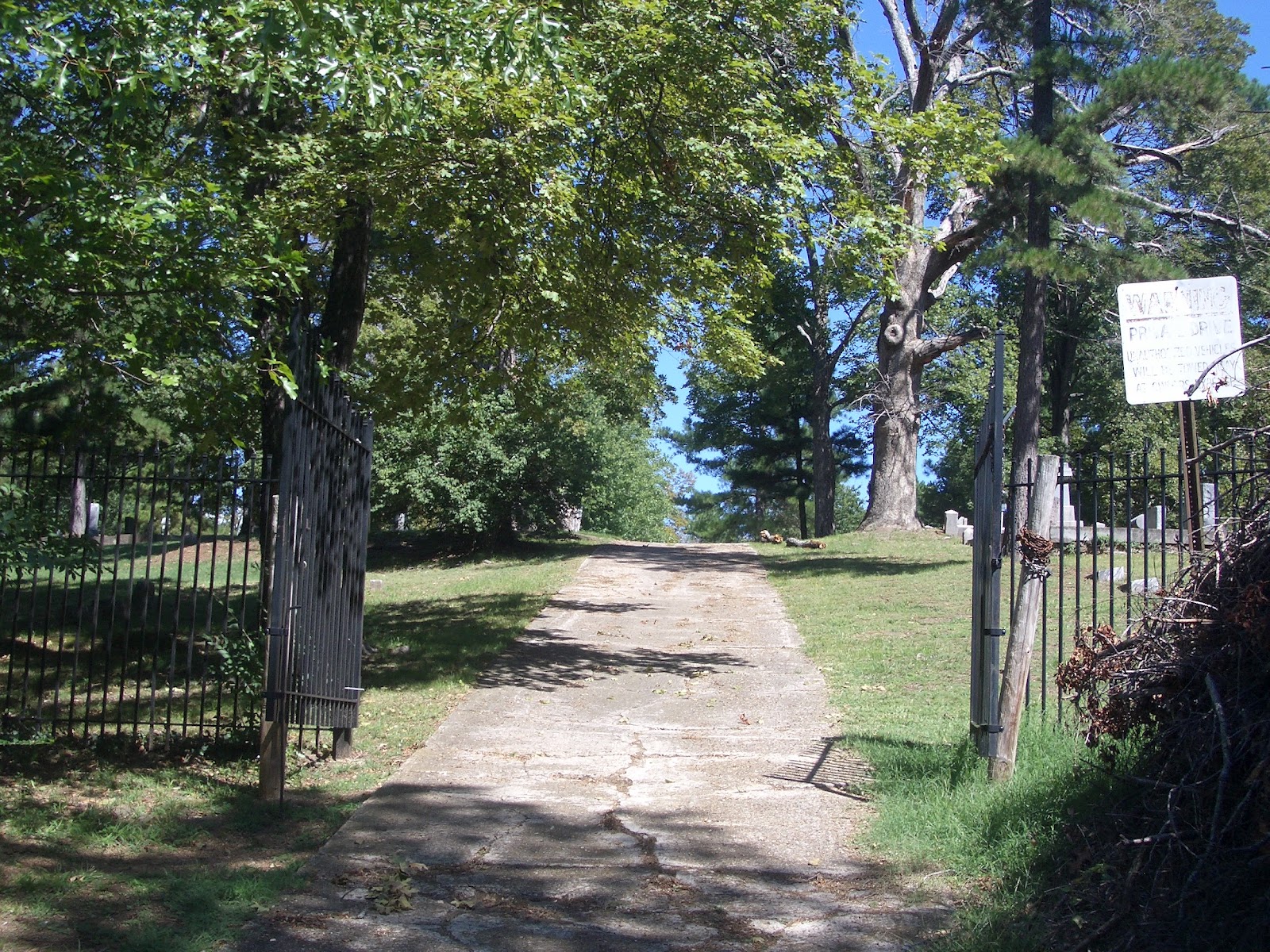 The Gothic Embrace A Walk Through the Evergreen Cemetery