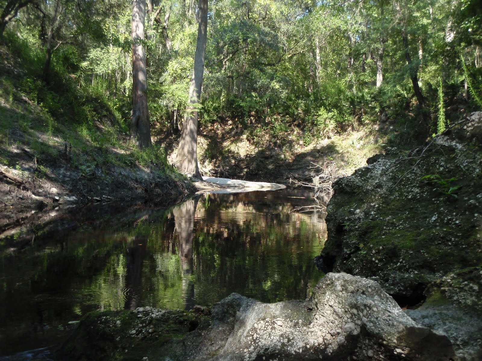 SOUTH KAYAK FISHING Alapahoochee convergence at Alapaha River
