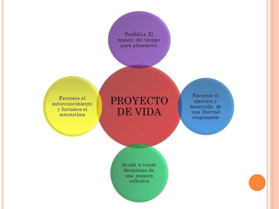 EL ORACULO DE DON TRIBI: EL PLAN DE VIDA