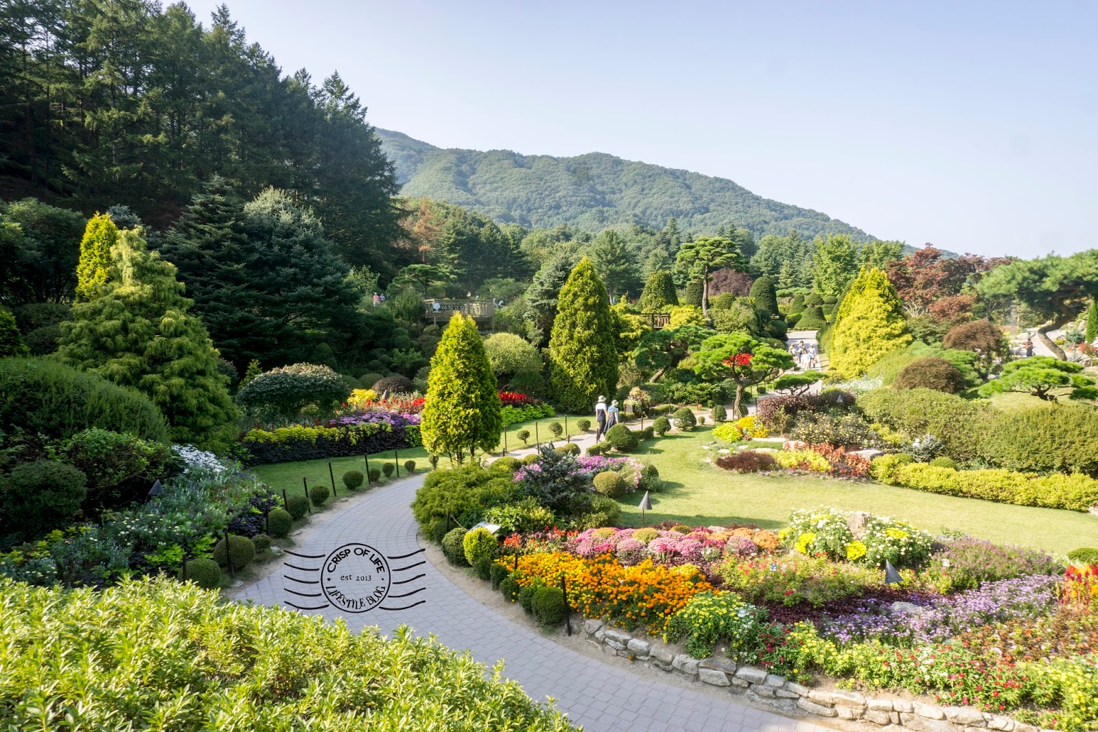 Nami Island & Garden of Morning Calm Tour Korea