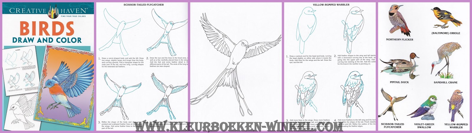 kleurboek van kleurboeken winkel kleurboek van kleurboeken winkel