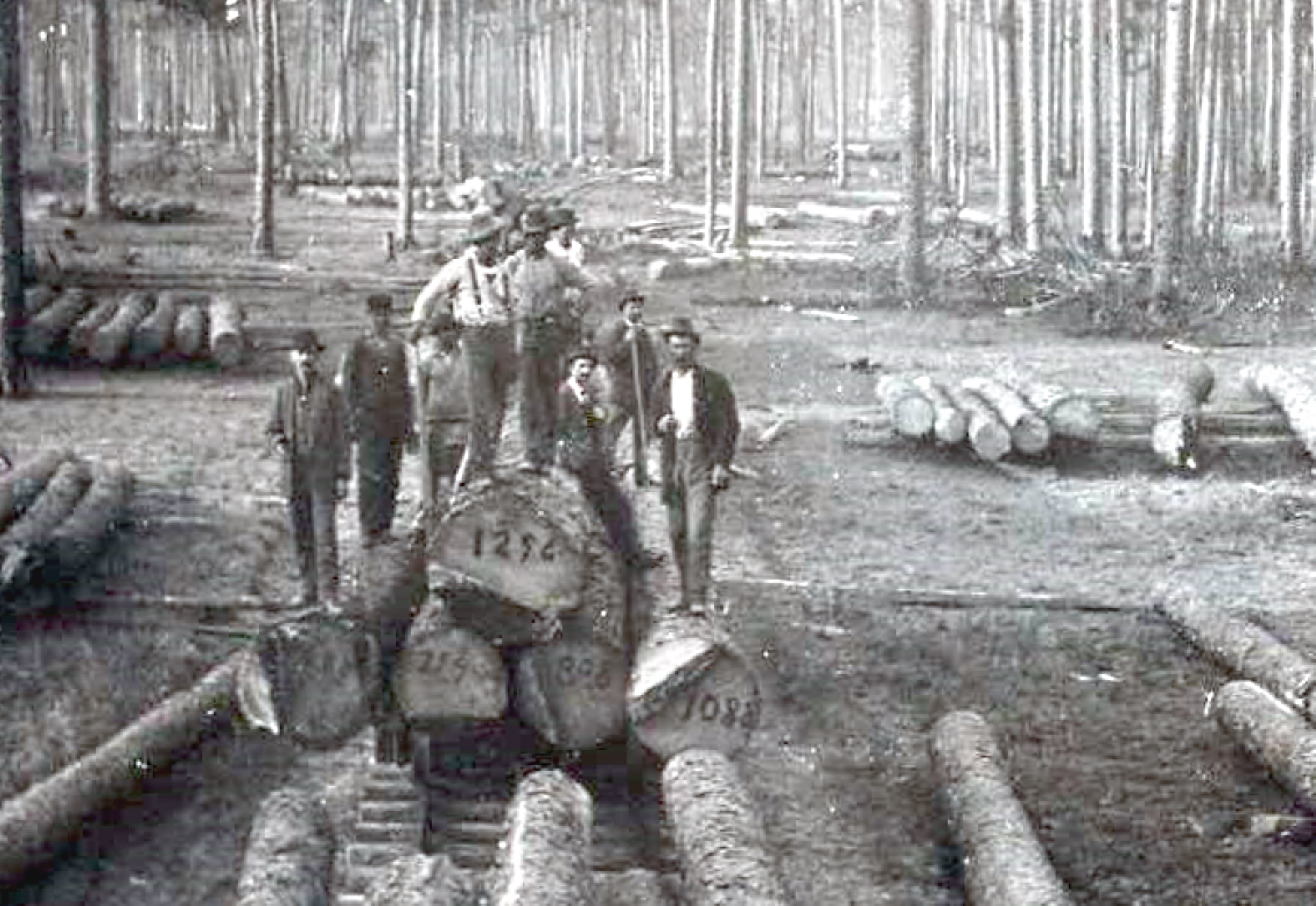 Tammany Family Dummy Line Railroad Tracks