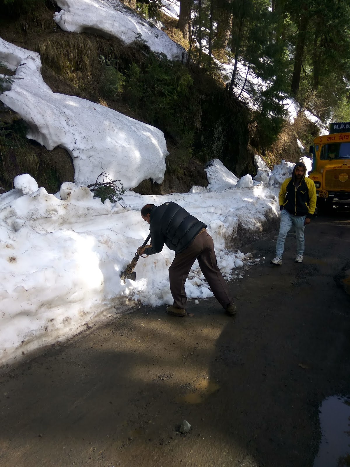 Travel magic Dalhousie