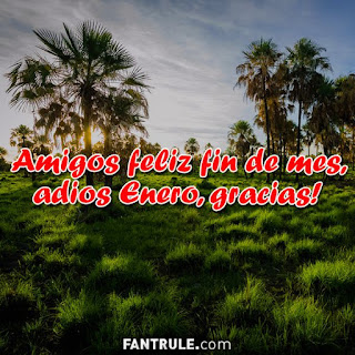 Imágenes Adios Enero Frases Feliz fin de mes gracias