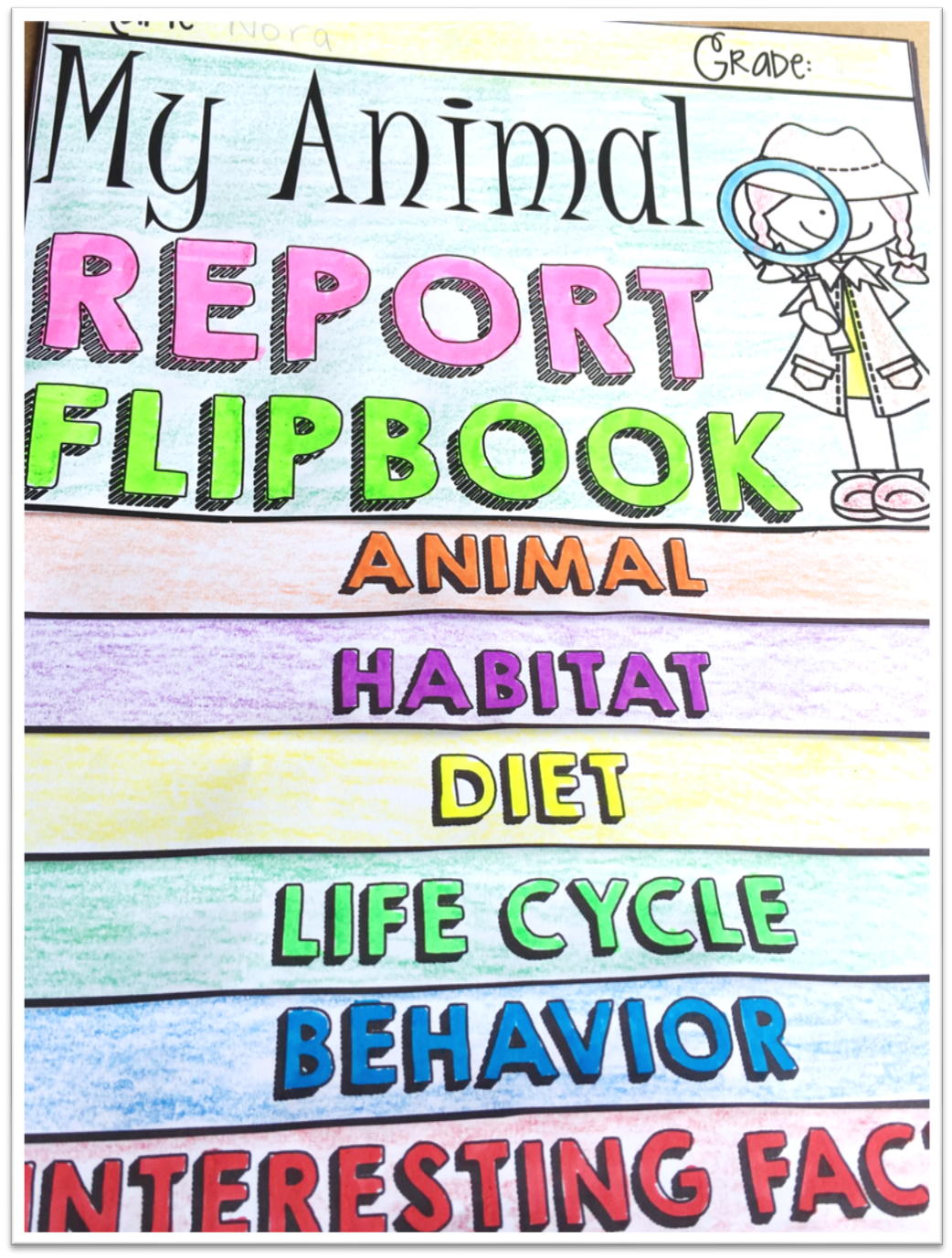 The Versatility of Editable Flipbooks Classroom Freebies