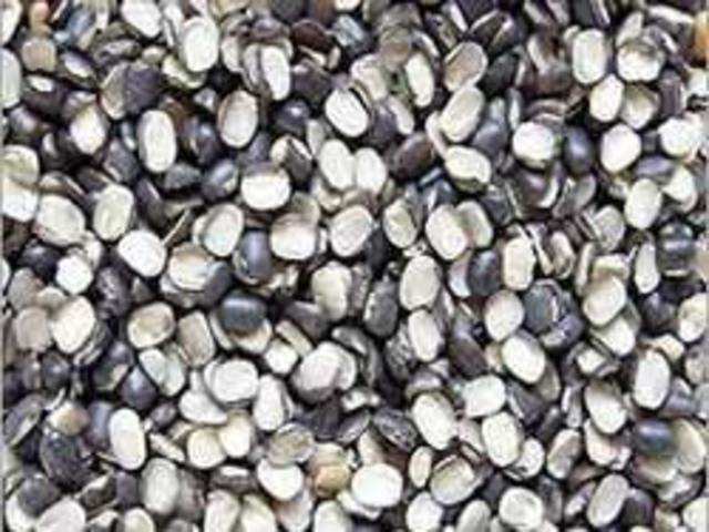 Along with strengthening bones, urad dal is also very beneficial for health. Funny Jokes Along with strengthening bones, urad dal is also very beneficial for health. Funny Jokes